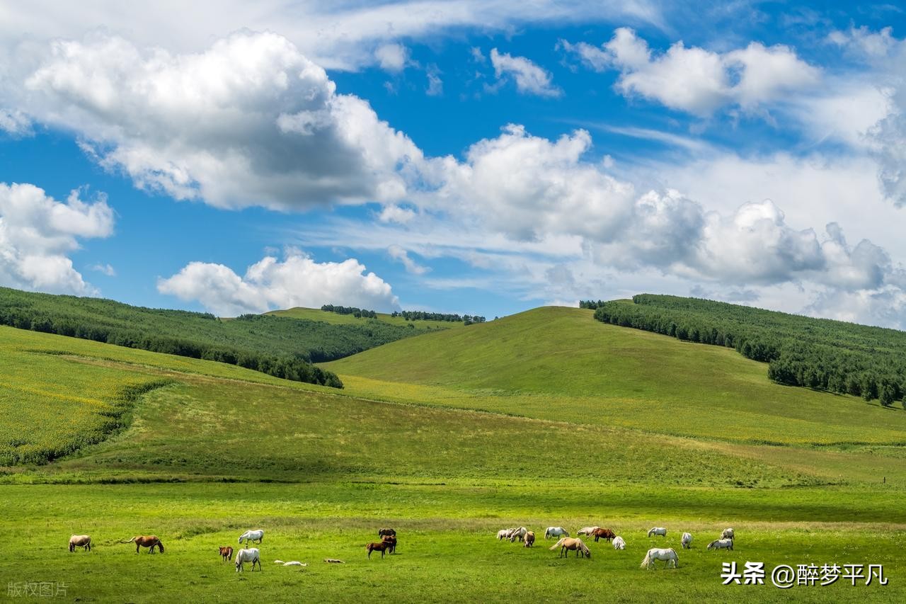 太热了!暑假去哪里避暑!好玩好吃好住又凉快的地方!
