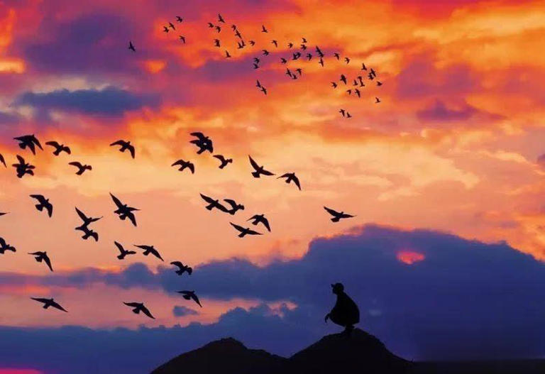 夜晚睡不着的时候，就看看吧