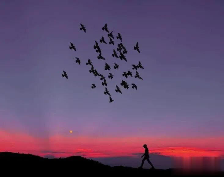 夜晚睡不着的时候，就看看吧