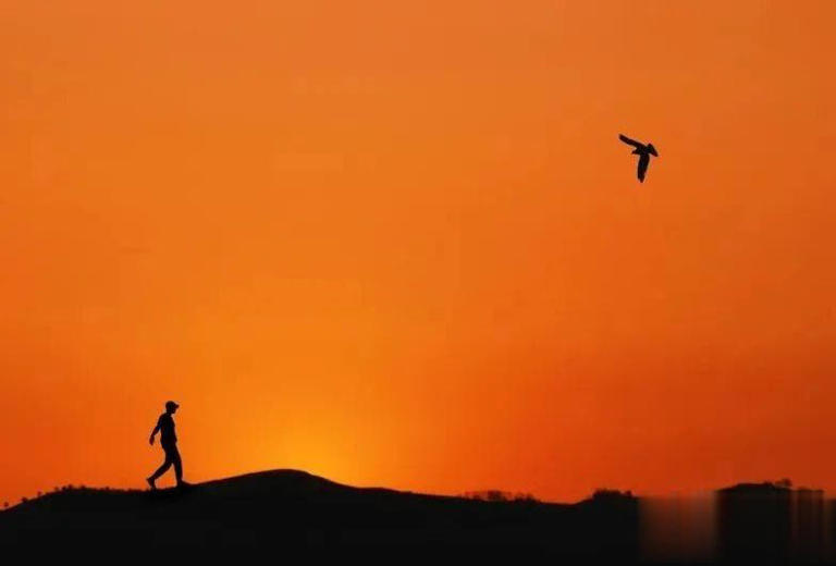 夜晚睡不着的时候，就看看吧