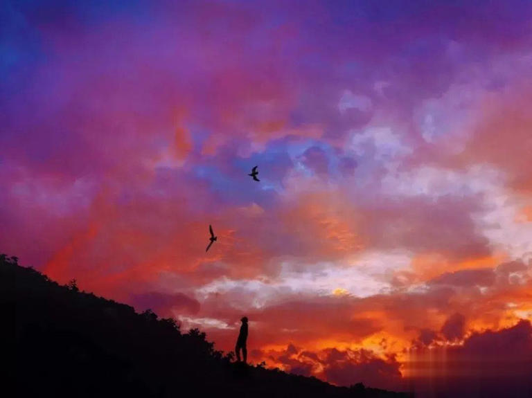 夜晚睡不着的时候，就看看吧