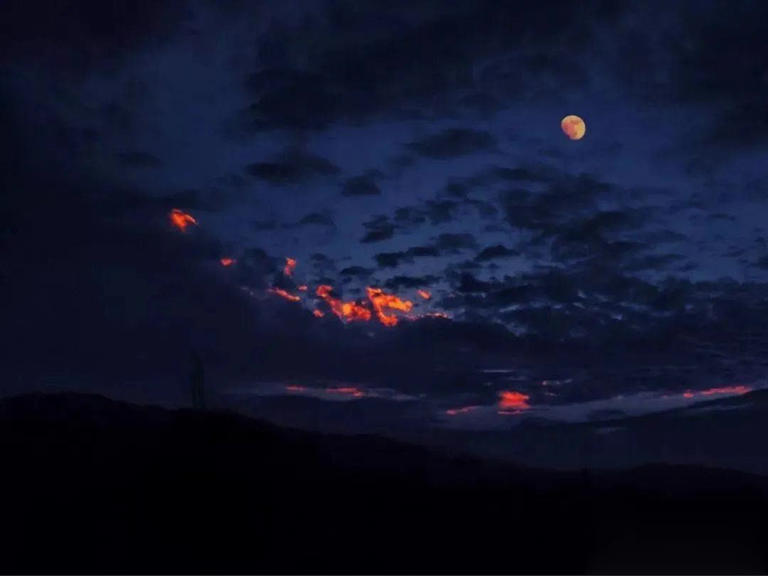 夜晚睡不着的时候，就看看吧