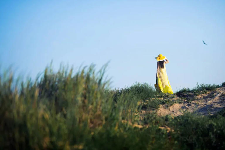 认同这句话：“没有谁是一座孤岛，在大海里独居。”  在生活中，我们无时无刻不与人交往，而想过得愉快，便需维护好人际关系。  其实，好的人际关系，也会助你拥有更宽广的人生之路。  如戈尔曼在《情商》书中讲过：“你让人舒服的程度，决定着你所能