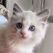 数据库常用sql语句总结「建议收藏」