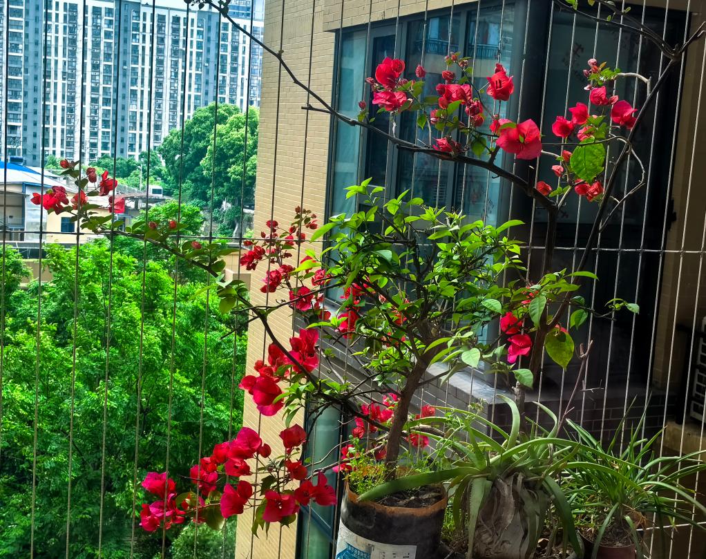 含有悠闲的词语,悠闲文案八个字,惬意生活