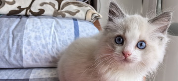 悠闲医学家园—www.yxrjy.cn