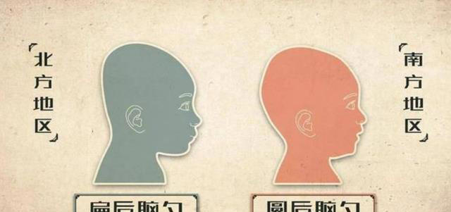 从小睡枕头和不睡枕头的孩子，长大后有什么差别？家长要及早了解