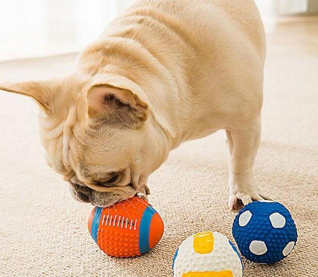 狗狗让你“碰”这7样东西，说明很信任你，把你当亲人了！