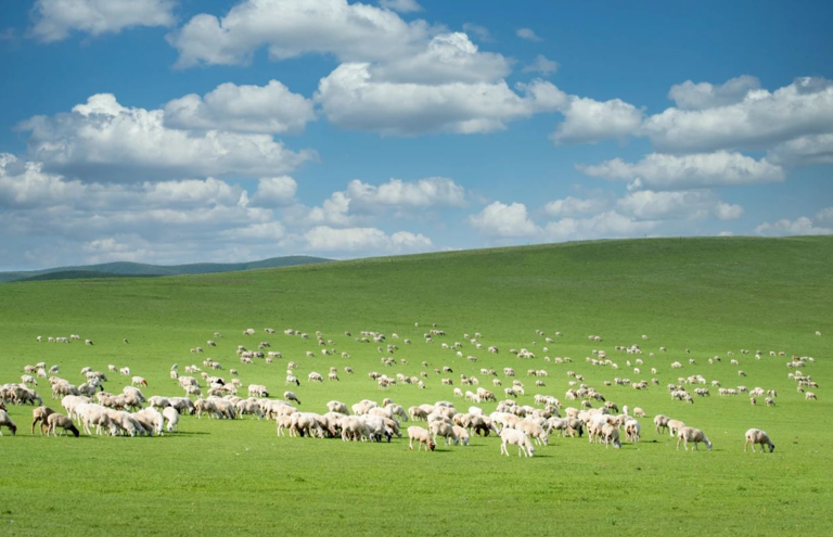 暑假游玩必去的6个地方，一定要收藏好，总有一个远方适合你！
