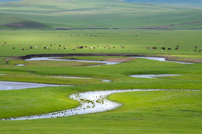 暑假游玩必去的6个地方，一定要收藏好，总有一个远方适合你！