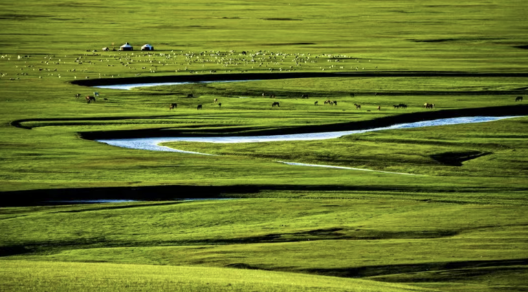 暑假游玩必去的6个地方，一定要收藏好，总有一个远方适合你！