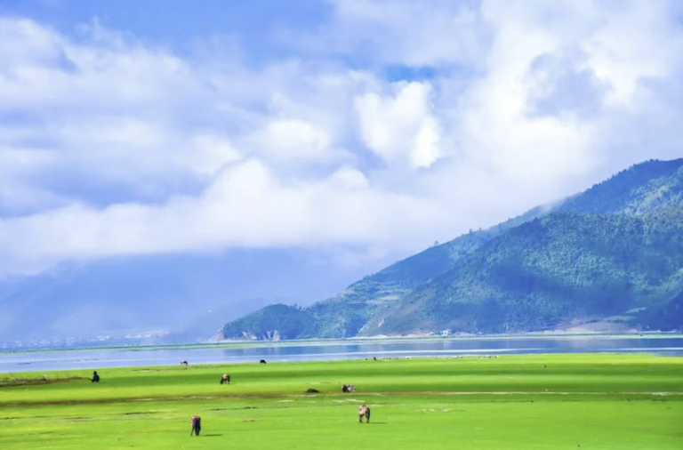 暑假游玩必去的6个地方，一定要收藏好，总有一个远方适合你！