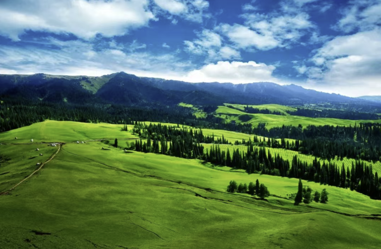 暑假游玩必去的6个地方，一定要收藏好，总有一个远方适合你！