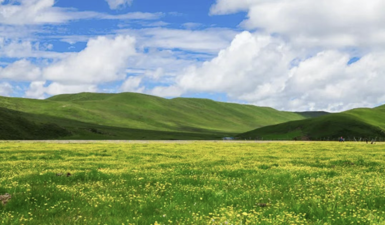 人这一辈子一定要去一次四川！这才是四川最美最值得去的10个地方