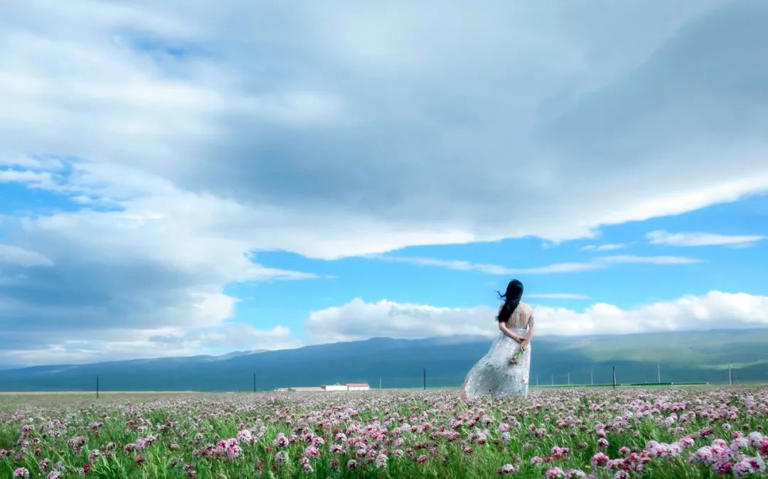 要听多少大道理，才能过好人生、成为好的自己？  有多少人思考过这样一个问题，我们真的需要那么多道理吗？  五代时道家著作《还金述》有言：妙言至径，大道至简。  其实，世间最了不起的至理，往往都很简单朴素。  01  有一种高情商，叫真诚