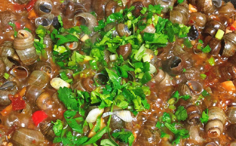 推荐5道经济实惠的家常菜，鲜香开胃，解馋又下饭，做法简单易学