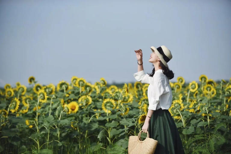 真正决定一个人能走多远的，不是智力，而是心力