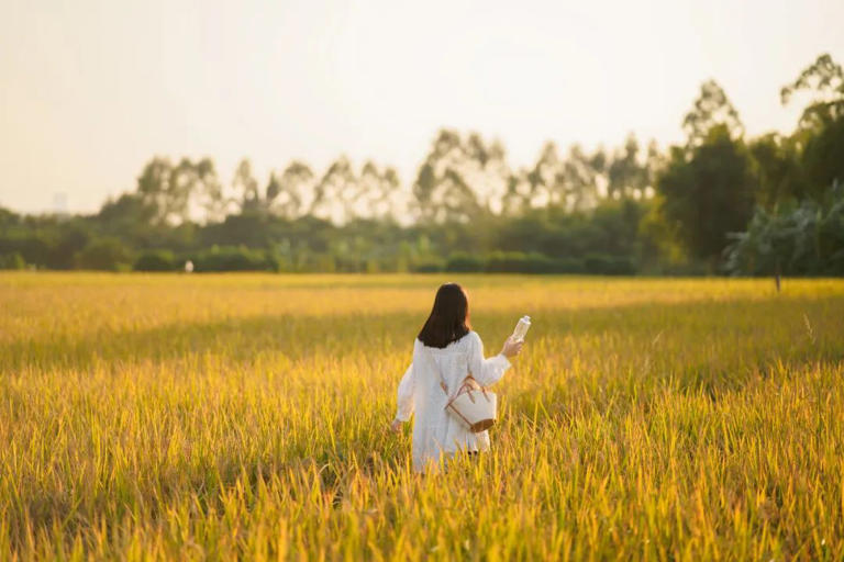 就想过这样的小日子