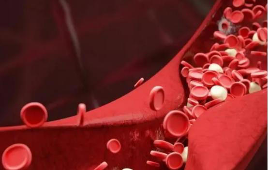 手背血管能看出寿命长短？医生：血管若有这些特征，恭喜你很健康