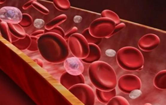 手背血管能看出寿命长短？医生：血管若有这些特征，恭喜你很健康