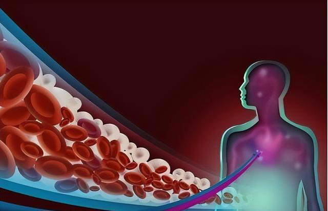 手背血管能看出寿命长短？医生：血管若有这些特征，恭喜你很健康