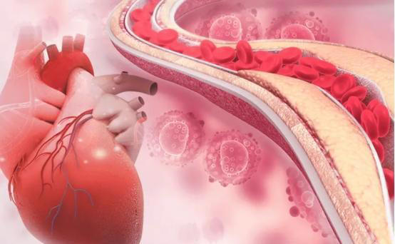 手背血管能看出寿命长短？医生：血管若有这些特征，恭喜你很健康