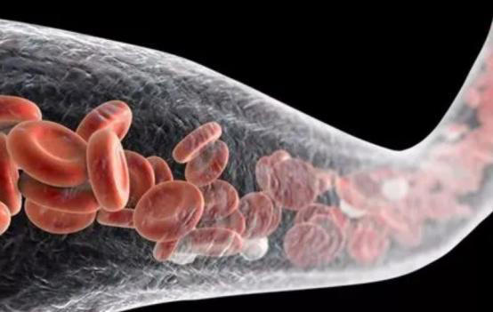 手背血管能看出寿命长短？医生：血管若有这些特征，恭喜你很健康