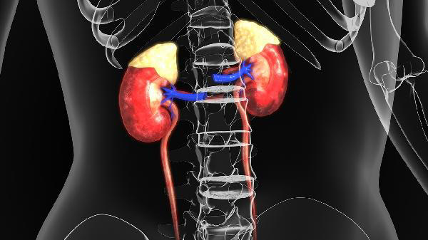 为啥得肾衰竭的越来越多，医生：生活中的几个习惯，一定要注意了