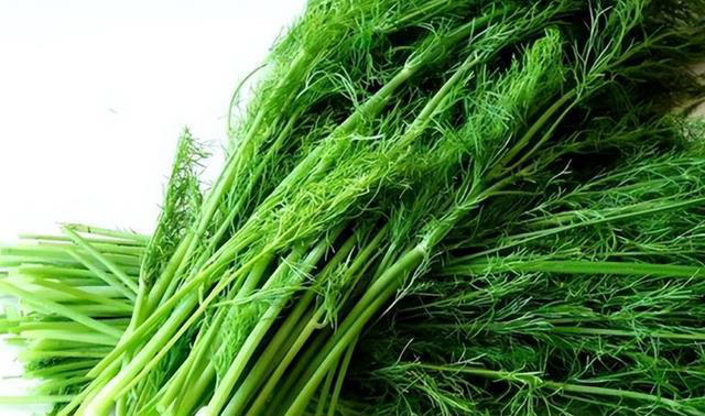 医生提醒：4种青菜高血压要少吃，小心让血压上涨，喜欢也要注意