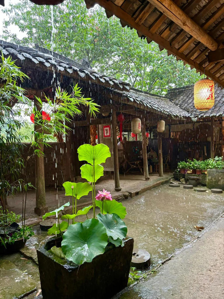 后半生，一定要有个小院子