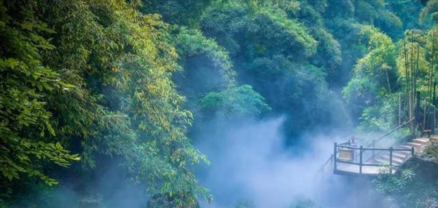 步行有哪些好处？每天走多少步为佳？研究发现，步数和年龄有关？