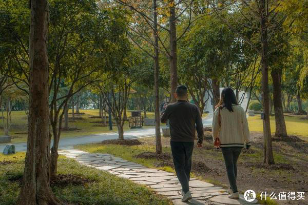 中年人，快走1万步和慢跑5公里，哪个效果更好？