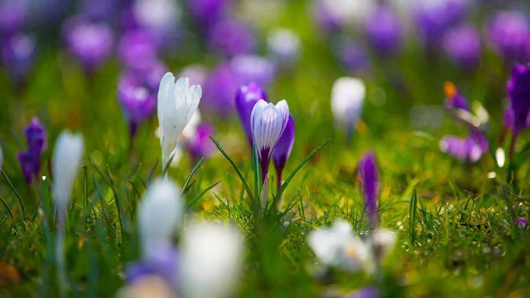 请告诉孩子：结婚，尽量找这3种家庭，少走很多弯路！