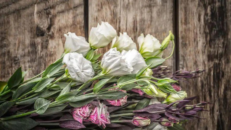 请告诉孩子：结婚，尽量找这3种家庭，少走很多弯路！