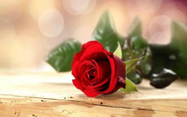 请告诉孩子：结婚，尽量找这3种家庭，少走很多弯路！