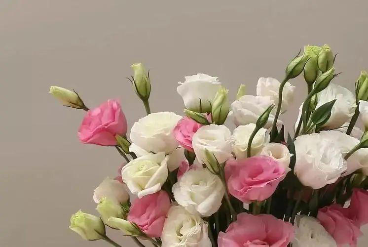 请告诉孩子：结婚，尽量找这3种家庭，少走很多弯路！