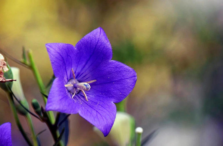 请告诉孩子：结婚，尽量找这3种家庭，少走很多弯路！