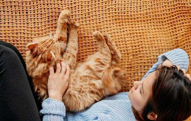 人类为什么会觉得猫咪可爱？你会觉得猫咪可爱其实是有原因的