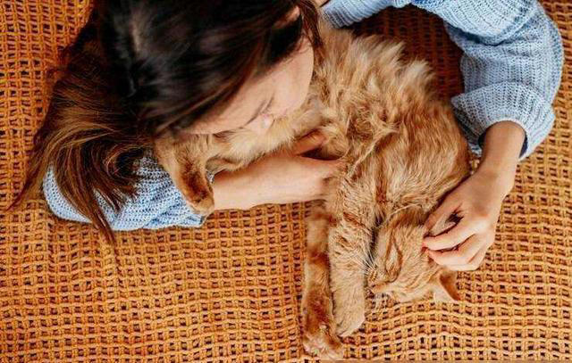 人类为什么会觉得猫咪可爱？你会觉得猫咪可爱其实是有原因的