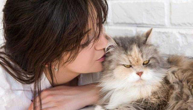 人类为什么会觉得猫咪可爱？你会觉得猫咪可爱其实是有原因的