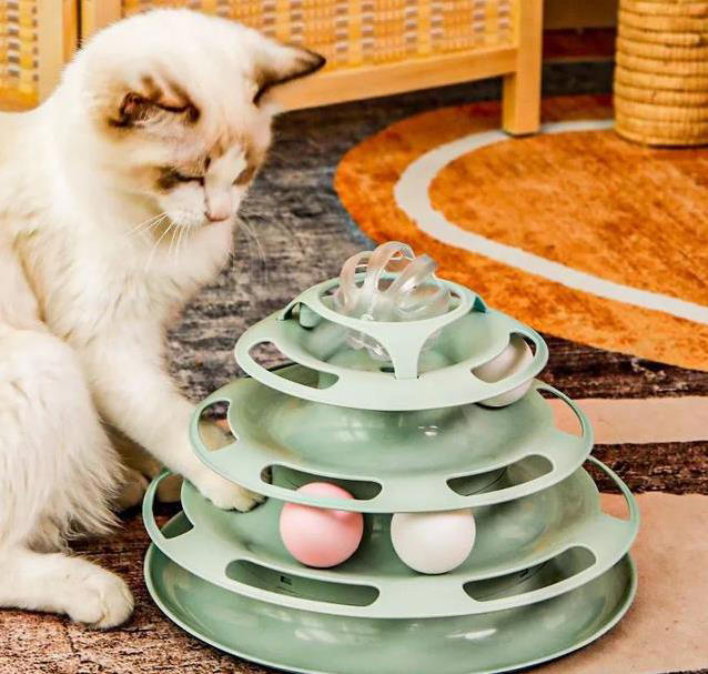 猫咪不高兴？这些日常习惯，竟让它觉得你不爱它！