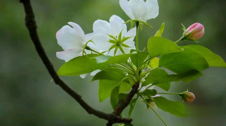 女人看不起老公，才会有的五种表现，希望你的婚姻不存在这些情况