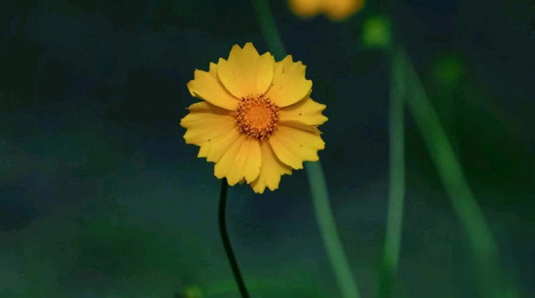 女人看不起老公，才会有的五种表现，希望你的婚姻不存在这些情况