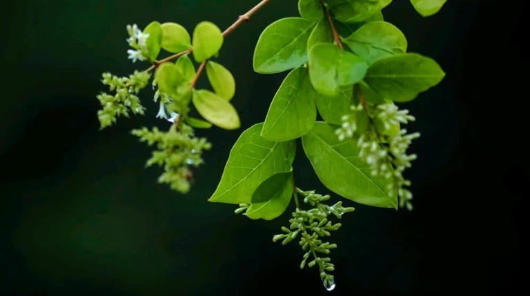 女人看不起老公，才会有的五种表现，希望你的婚姻不存在这些情况