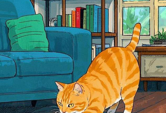 橘猫粘人三花傲娇，哪种猫咪最适合你家？