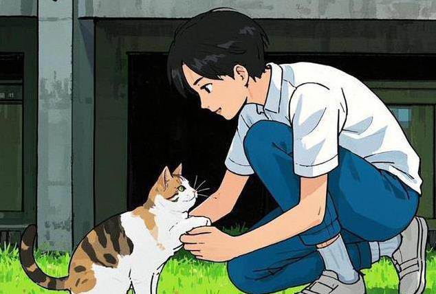 橘猫粘人三花傲娇，哪种猫咪最适合你家？