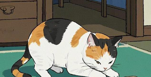 橘猫粘人三花傲娇，哪种猫咪最适合你家？