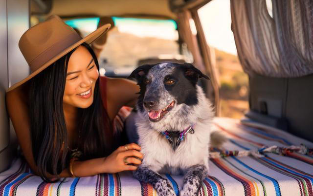 狗狗的睡姿大揭秘：看它睡哪，就知道它有多爱你！