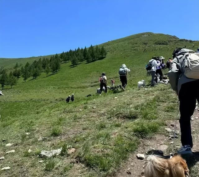 十大错误锻炼方式：不能强身，反而伤身！