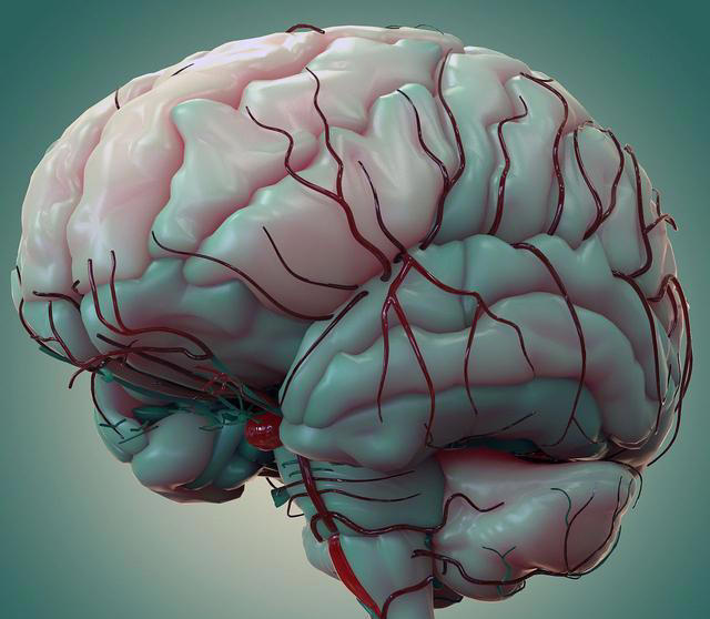 大脑开始萎缩，不是看忘不忘事！医生提醒：若有这2异常或已萎缩